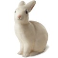 pol_pl_Muzyczna-pozytywka-szkatulka-z-baletnica-Grzybki-Egmont-Toys-R-2216_2.jpg