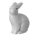 pol_pl_Lampka-nocna-LED-Krolik-cieply-szary-Egmont-Toys-R-239_2.jpg