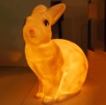 pol_pl_Lampka-nocna-LED-Krolik-bialy-Egmont-Toys-R-238_5.jpg