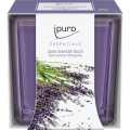 ipuro-Essentials-by-Ipuro-Lavender-Touch-Candle-98221.jpg