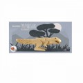 pol_pl_Drewniany-Tyranosaurus-do-pomalowania-Egmont-Toys-R-2681_2.jpg