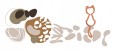 5ec43cb2d8f8fa06e552984d712f2171.jpg